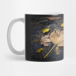 Maple and beech leaves with water drops Mug